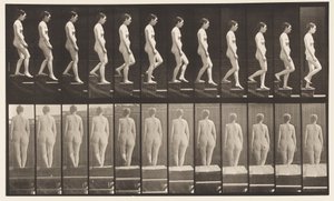 Plate 129. Descending Stairs, Hands Clasped by Eadweard Muybridge