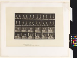Plate 12. Walking by Eadweard Muybridge