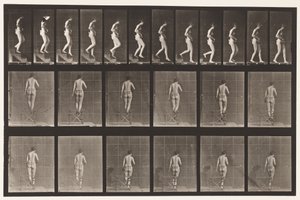 Descending Stairs, Hands Clasped by Eadweard Muybridge