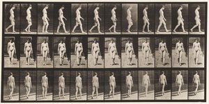 Plate 13. Walking by Eadweard Muybridge