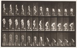 Descending Stairs; Stooping to Lift a Pitcher by Eadweard Muybridge