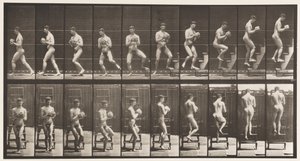 Plate 151. Descending Step Ladder, Turning Around, Rock in Hands by Eadweard Muybridge