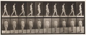 Plate 15. Walking by Eadweard Muybridge