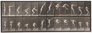 Plate 161. Jumping; Standing High Jump by Eadweard Muybridge