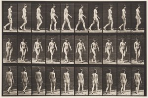Walking by Eadweard Muybridge