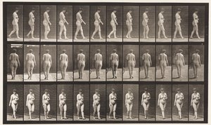 Walking, Left Hand Across Abdomen by Eadweard Muybridge