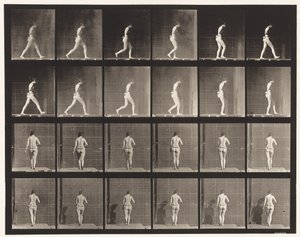 Walking, Right Elbow Bent by Eadweard Muybridge