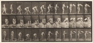 Plate 213. Lifting and Emptying Basket by Eadweard Muybridge