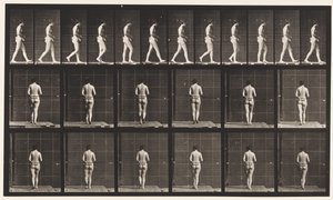Plate 21. Walking, Both Elbows Bent by Eadweard Muybridge
