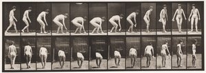 Stooping and Lifting Handkerchief and Turning by Eadweard Muybridge