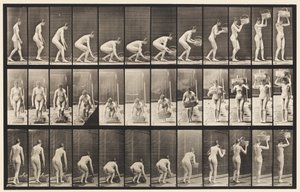 Plate 221. Stooping and Lifting 12 lb Basket to Head by Eadweard Muybridge