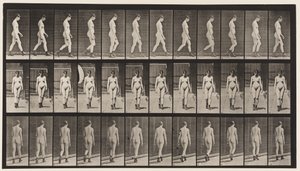 Walking, With High-Heeled Boots On by Eadweard Muybridge