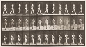 Walking, Right Hand at Chin, High-Heeled Shoes On by Eadweard Muybridge