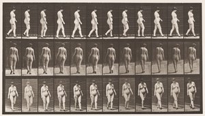 Plate 24. Walking with High-Heeled Shoes On by Eadweard Muybridge