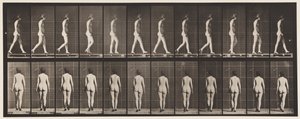 Plate 25. Walking, With High-Heeled Shoes On by Eadweard Muybridge