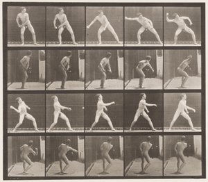 Plate 273. Baseball; Pitching by Eadweard Muybridge