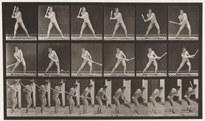Plate 275. Baseball; Batting (Low Ball) by Eadweard Muybridge