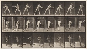 Base-ball; Batting by Eadweard Muybridge