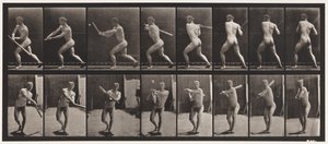 Plate 278. Base-ball; Batting by Eadweard Muybridge