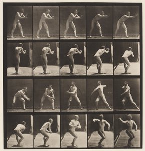 Base-ball; Catching and Throwing by Eadweard Muybridge