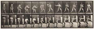 Plate 285. Base-ball; Catching and Throwing