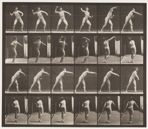 Plate 286. Base-ball; Throwing by Eadweard Muybridge