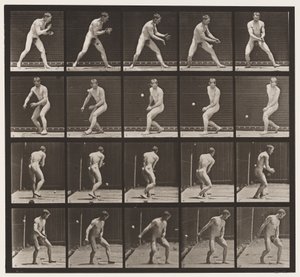Plate 288. Baseball; Error by Eadweard Muybridge