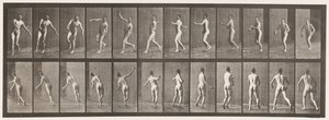 Cricket; Over Arm Bowling by Eadweard Muybridge