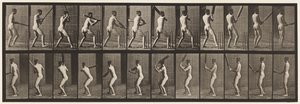 Plate 292. Cricket; Batting; Back Out by Eadweard Muybridge