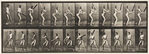 Cricket; Batting; Back Cut by Eadweard Muybridge