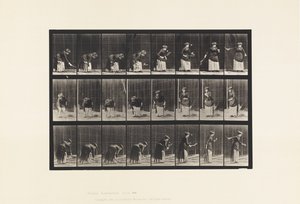 Lawn Tennis; Serving by Eadweard Muybridge