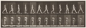 Walking by Eadweard Muybridge