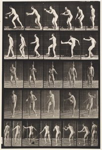 Foot-ball; Drop Kick by Eadweard Muybridge