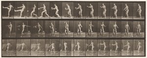 Plate 301. Foot-ball; Punt, 1885