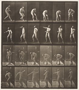 Picking Up A Ball and Throwing It by Eadweard Muybridge