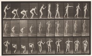 Plate 304. Picking Up a Ball and Throwing It by Eadweard Muybridge