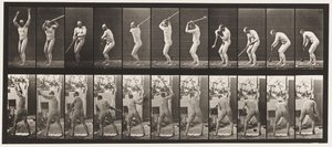 Plate 308. Throwing the Hammer by Eadweard Muybridge