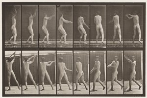 Plate 309. Throwing the Hammer by Eadweard Muybridge