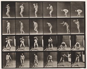 Plate 312. Heaving a 75-lb Rock by Eadweard Muybridge