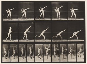 Plate 314. Heaving a 20-lb Rock by Eadweard Muybridge
