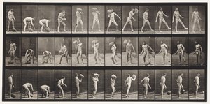 Plate 317. Heaving a 70-lb Rock by Eadweard Muybridge