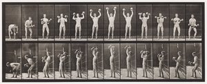 Plate 322. Lifting and Letting Down Two 50-lb Dumb-Bells by Eadweard Muybridge