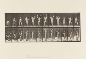 Man Lifting Dumbbells by Eadweard Muybridge
