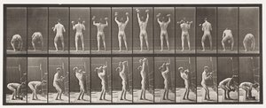 Lifting and Letting Down Two 50-lb Dumb-Bells by Eadweard Muybridge