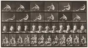 Plate 327. Rowing by Eadweard Muybridge