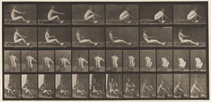 Plate 328. Rowing by Eadweard Muybridge