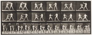 Plate 329. Boxing; (Shoes) by Eadweard Muybridge