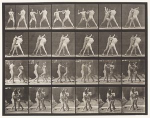 Plate 330. Boxing; Cross-Counter (Shoes) by Eadweard Muybridge