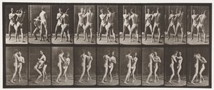 Boxing; Open Hand by Eadweard Muybridge