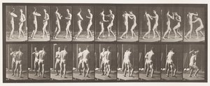 Boxing; Open Hand by Eadweard Muybridge